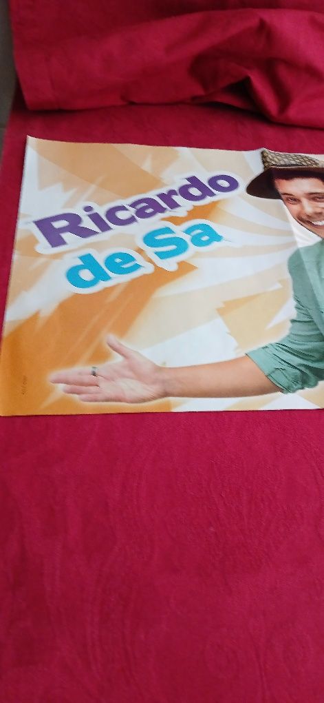Poster Carly Rae Jepsen/Ricardo de Sá