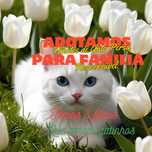 Adotamos Filhote de gato persa