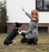 Profesjonalne szkolenie psów Zoopsycholog Behawiorysta