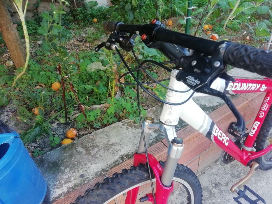 Bicicleta Berg disco