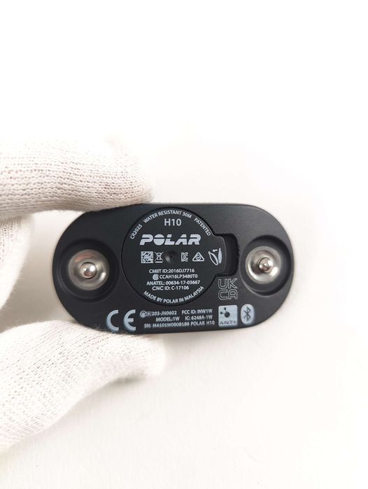 Czujnik tętna Polar Equine do analizy chodu koni