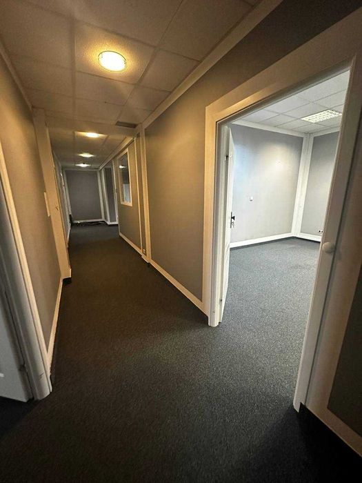 Wynajmę lokal biurowy 220m2