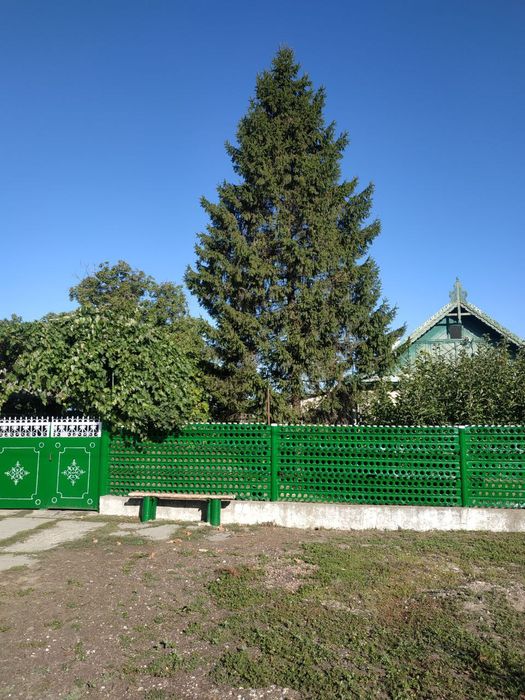 Продам Ёлку до 17-20