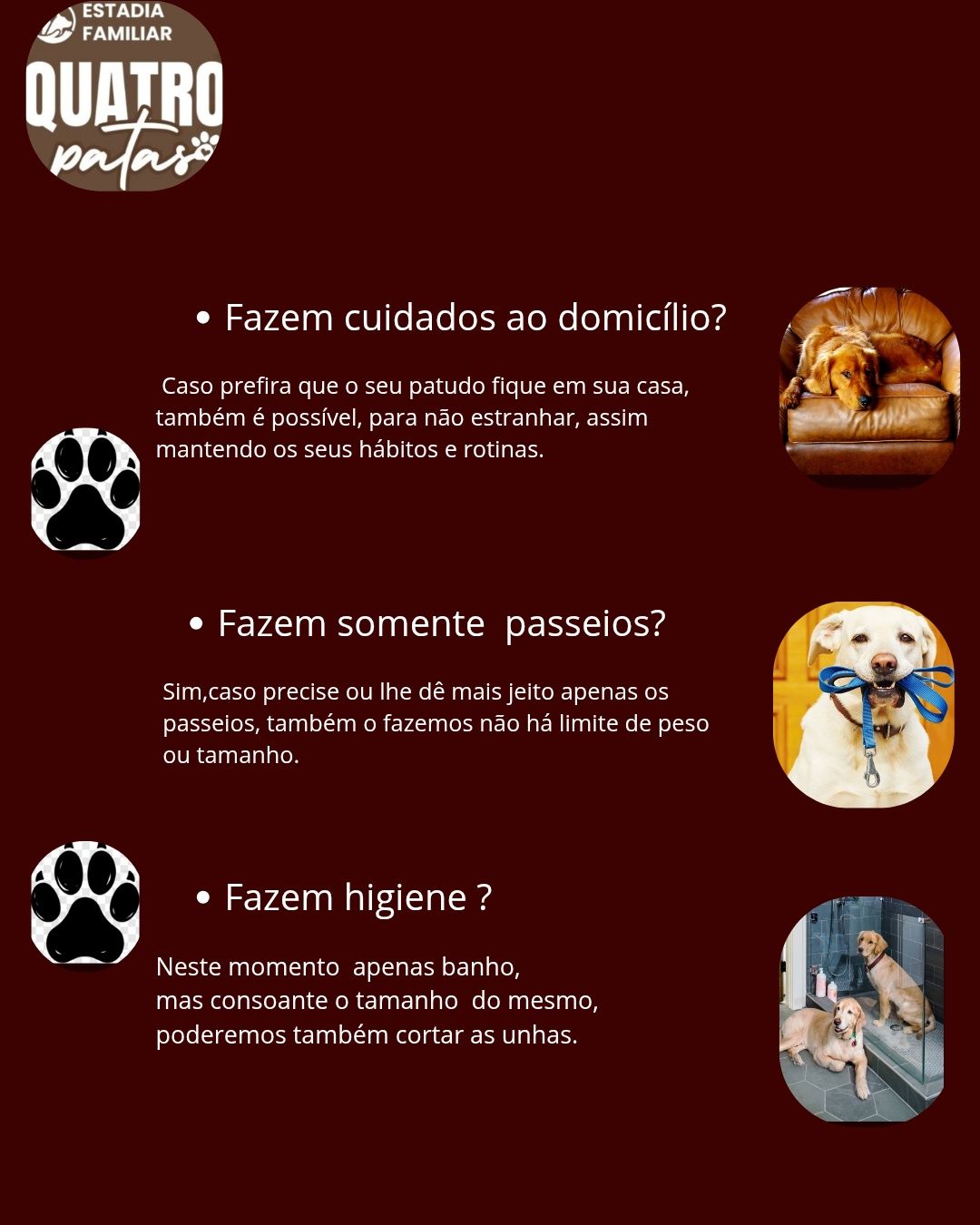 Estadia familiar 4 patas