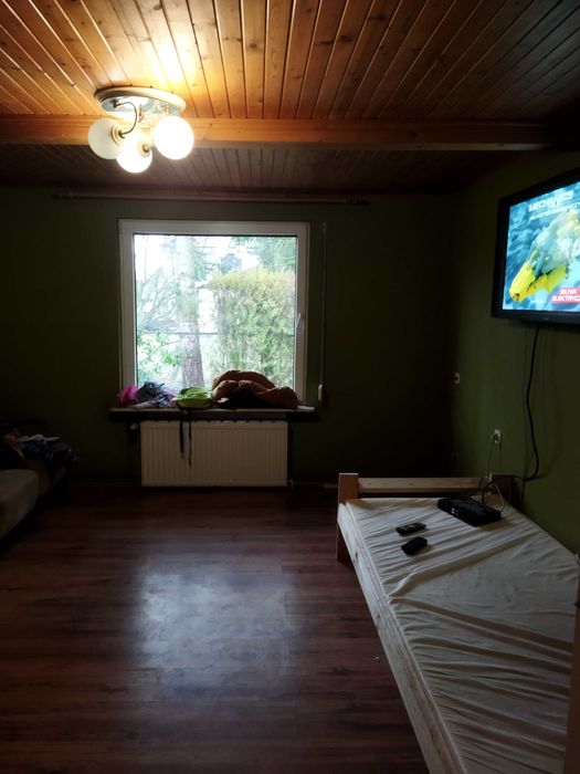 Dom na wynajem oferuje okazja suchy las