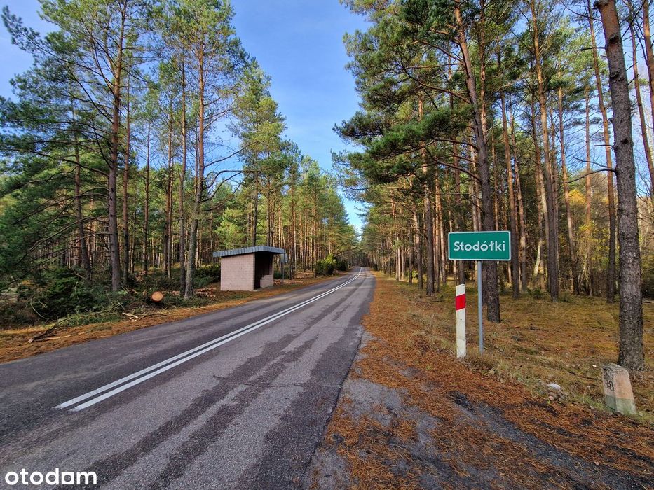 Zamieszkaj przy lesie, z bliskością mediów, bdb dojazd