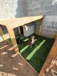Pet hotel cuido do seu animal