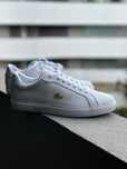 Sapatilhas Lacoste para venda