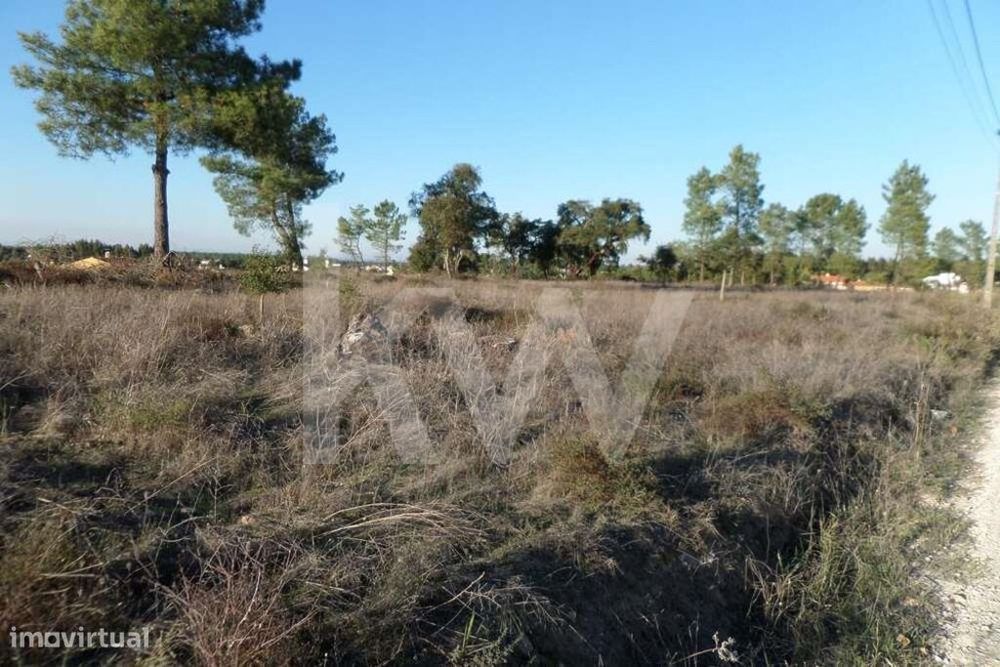 Terreno na Vila de Marinhais  para construção de treze moradias na zon