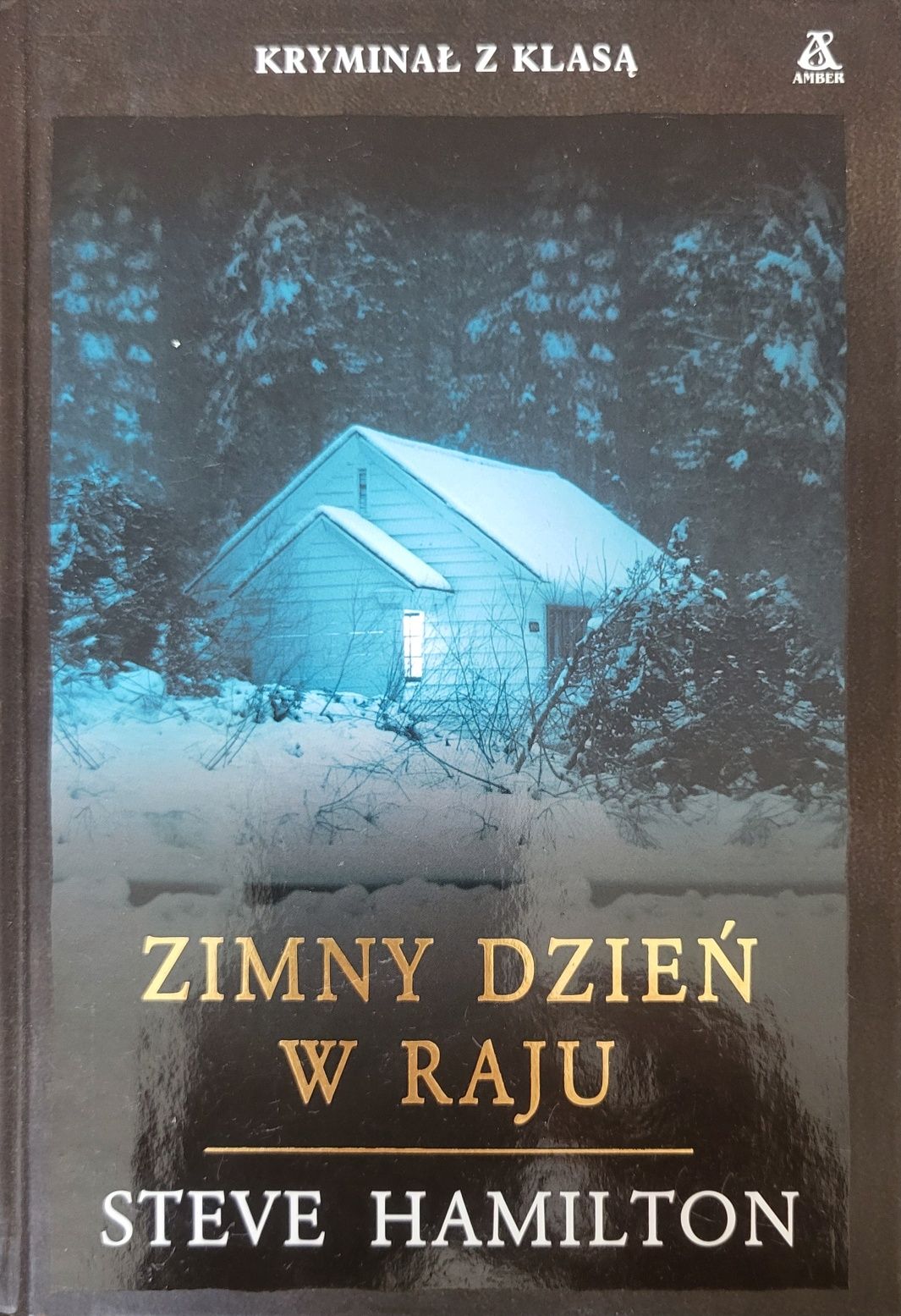 Steve Hamilton zimny dzień w raju