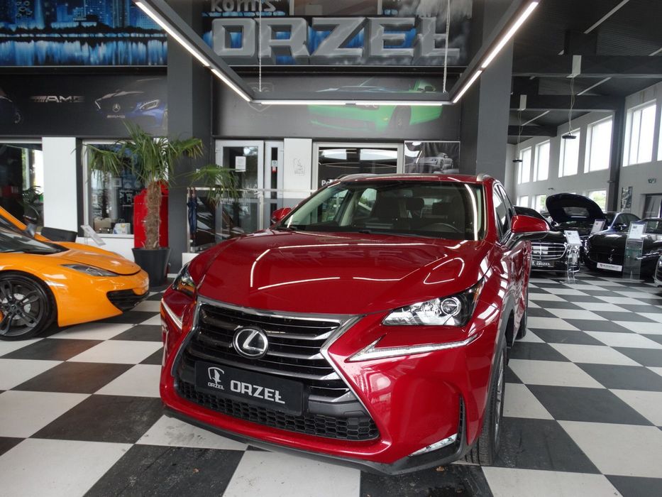 Lexus NX Salon Pl/Automat/Tempomat/Navi/Kam.Cofania/Podg. Fotele/Clim. 2 Strefy