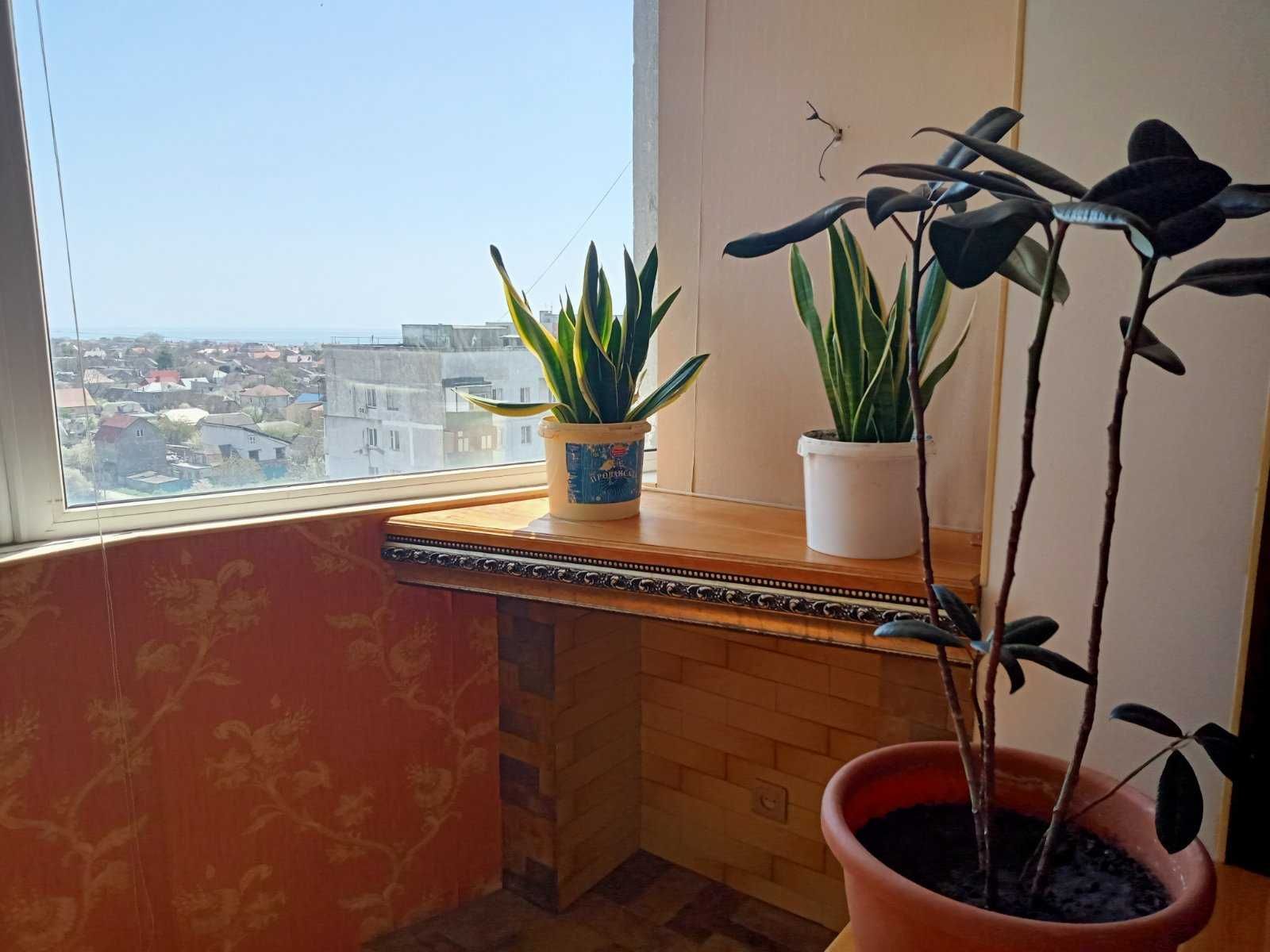 продам 3-х комнатную квартиру от собственника, 11 эт. 12-и эт. дома
