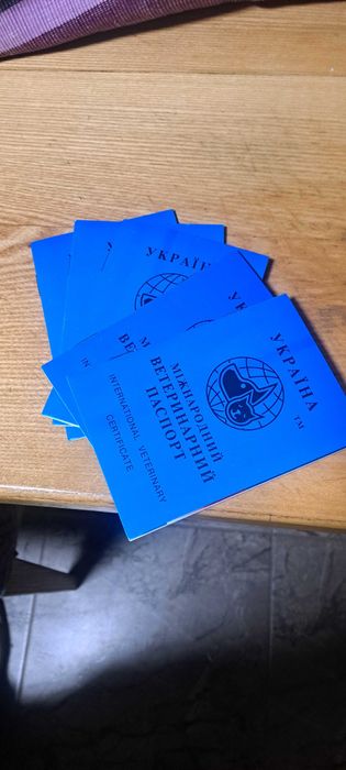 Німецька вівчарка