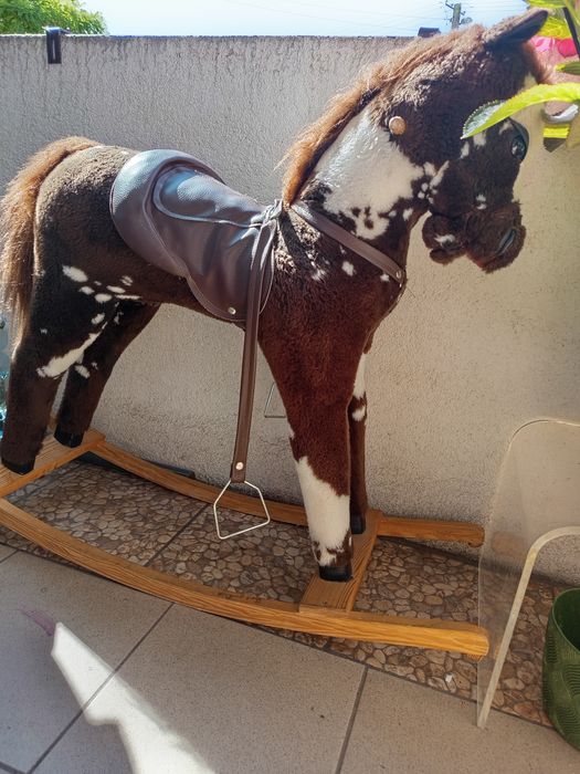 Konik na biegunach