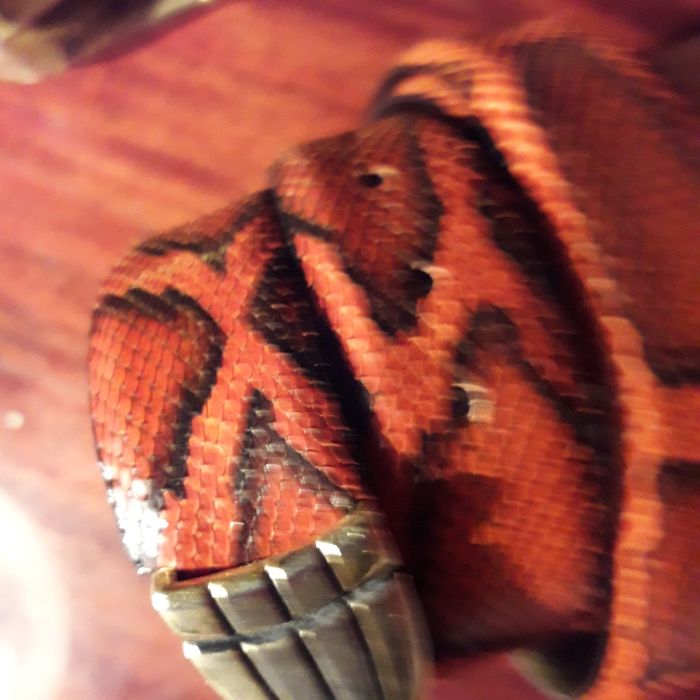 Продам кожанные пояса и сумки