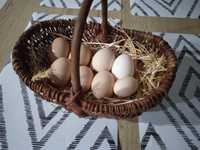 Świeże jajeczka od kurek z wolnego wybiegu