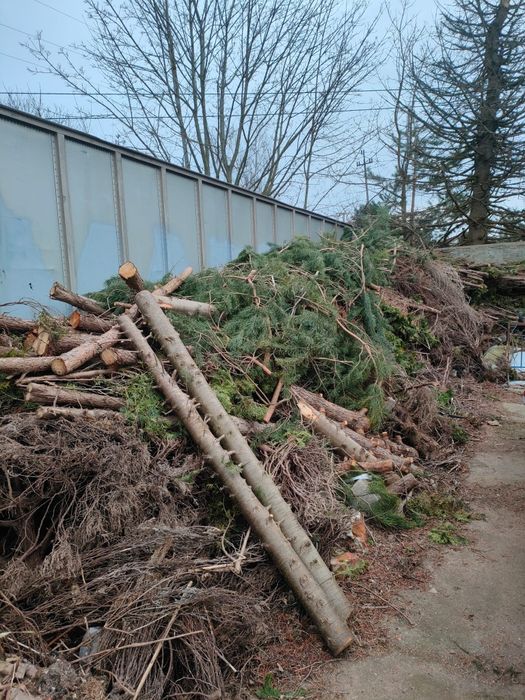 Oddam gałęzie na opal