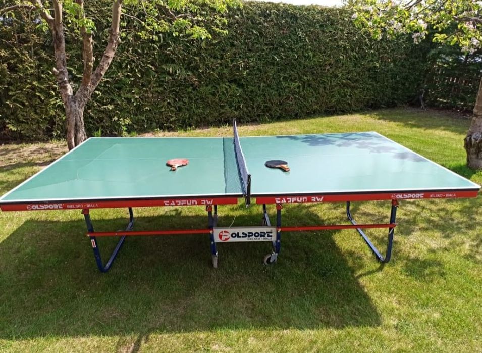 Stół do ping ponga