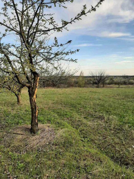 Продам участок 15 соток под застройку Безлюдовка.