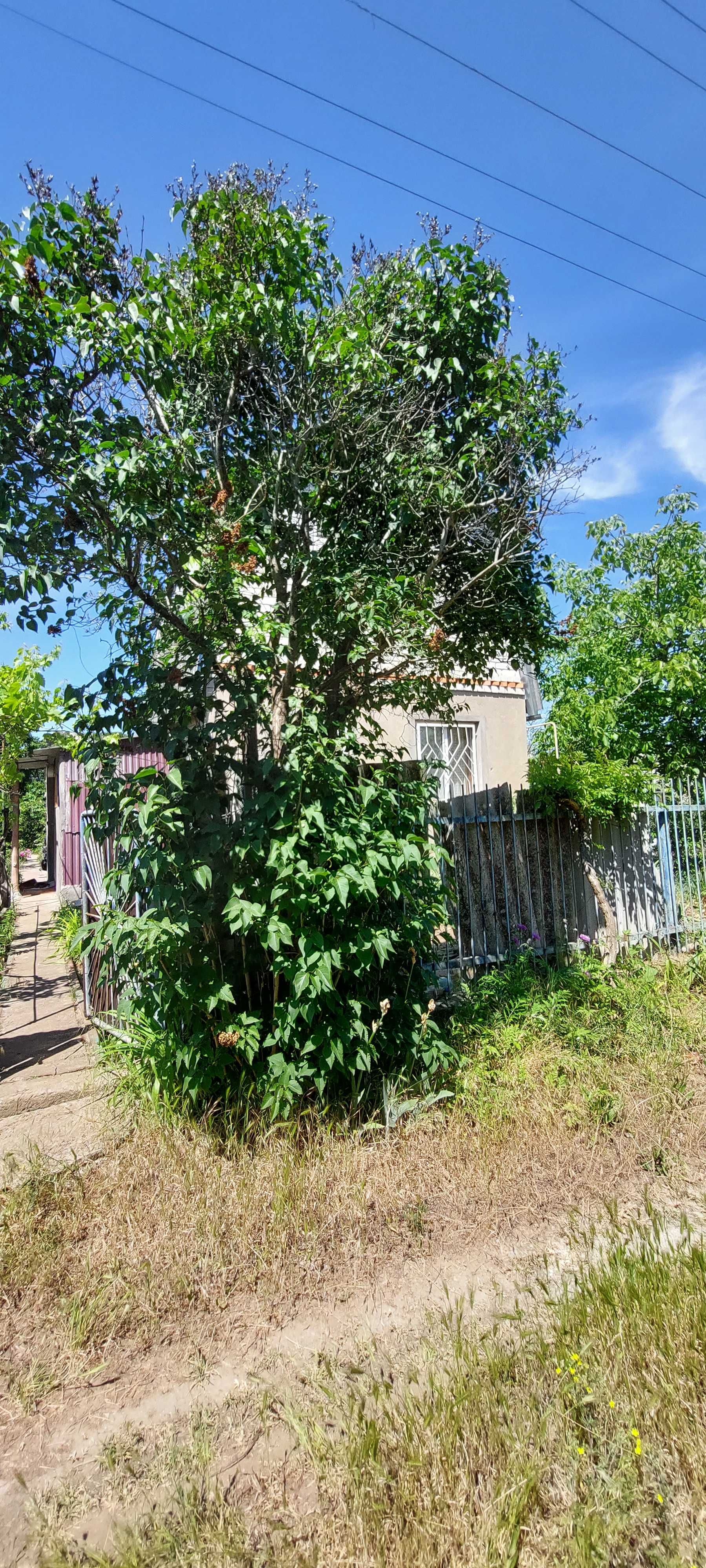 Будинок, дача с. Лупарево