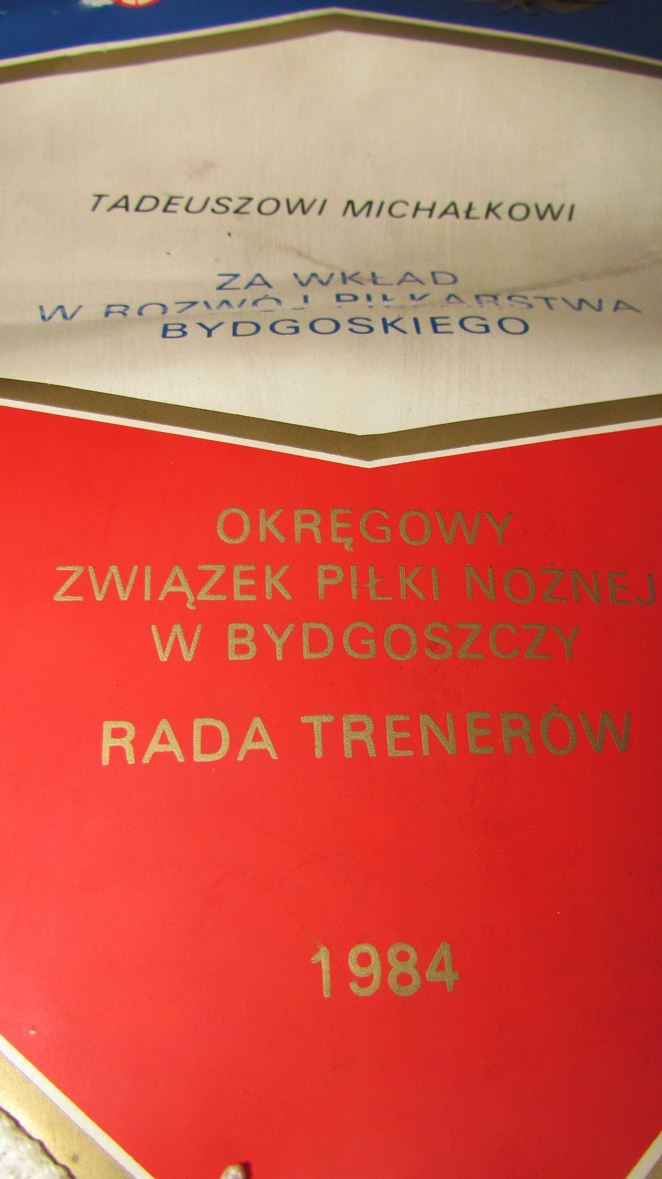 Proporczyk OZPN Bydgoszcz dla Tadeusz Michałka za wkład w rozwój