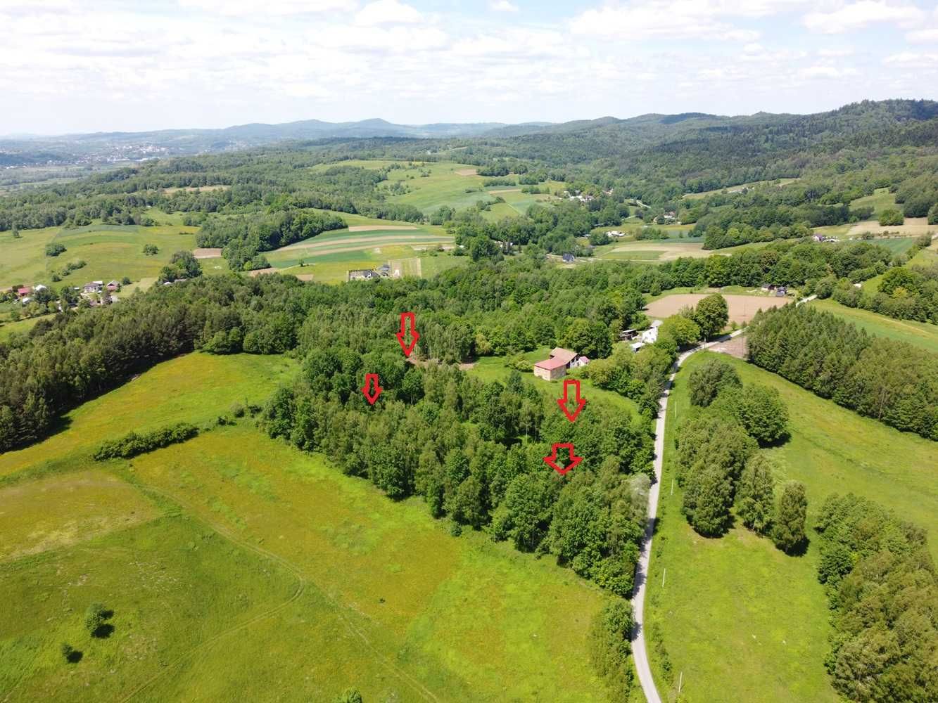 Sprzedam działki budowlane Pietrusza Wola