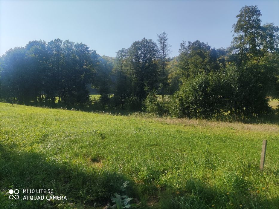 Sprzedam działkę budowlaną Przetoczyno 130 zl m2