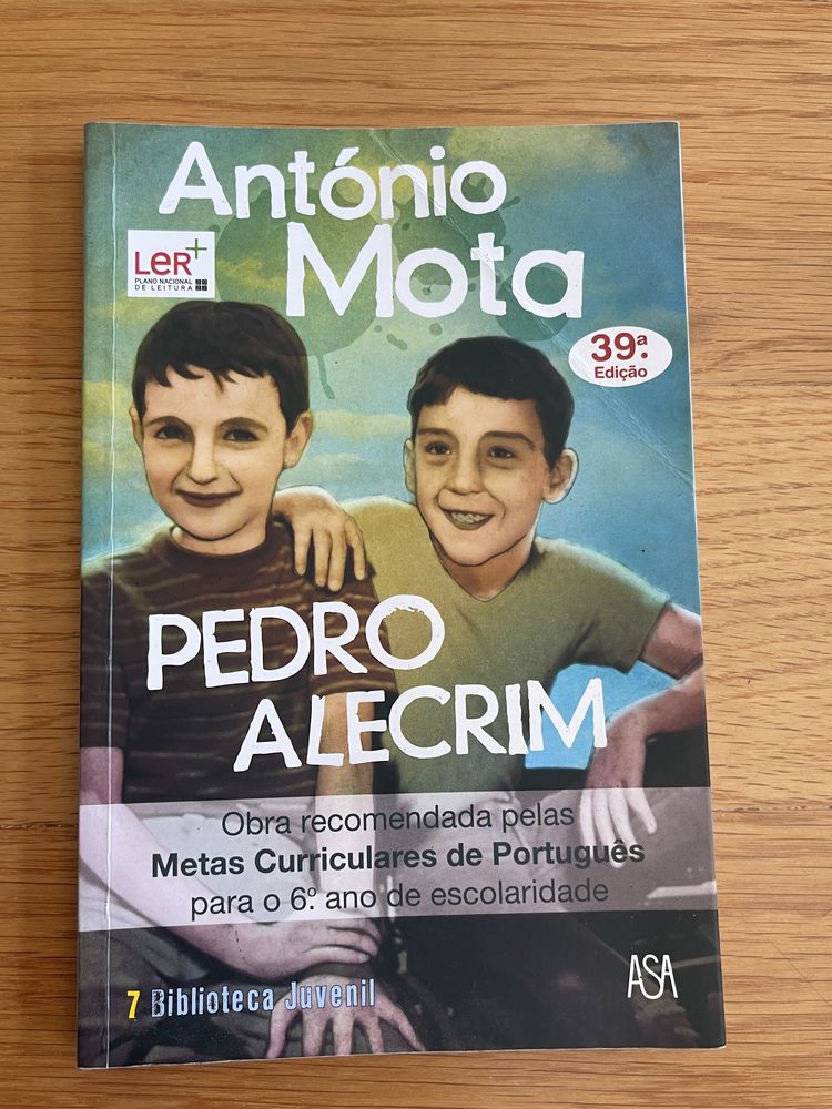 António Mota e Pedro Alecrim