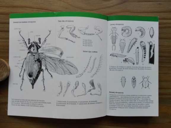 Przewodnik Kieszonkowy - mini-encyklopedia przyrody - zestaw 3 sztuki