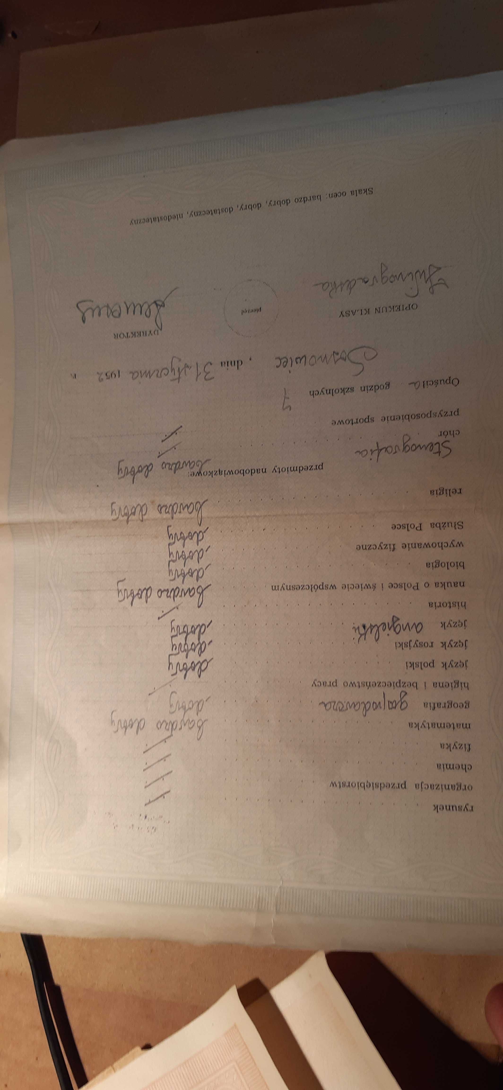 stary dokument świadectwo szkolne będzin 1951 rok