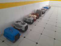Transportadoras de gato