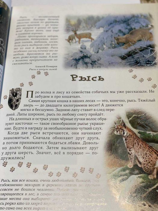 Прогулки по лесу Книга травник для детей