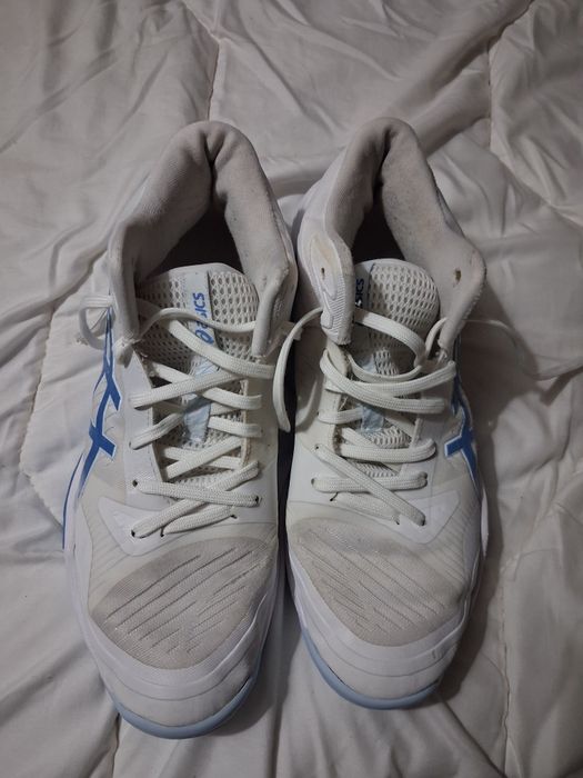 Sapatilhas Asics Sky Elite FF