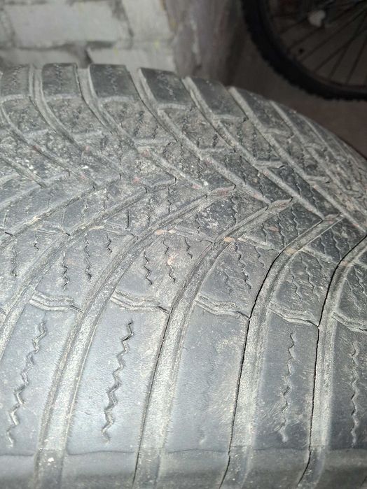 Opony Firestone Multiseason