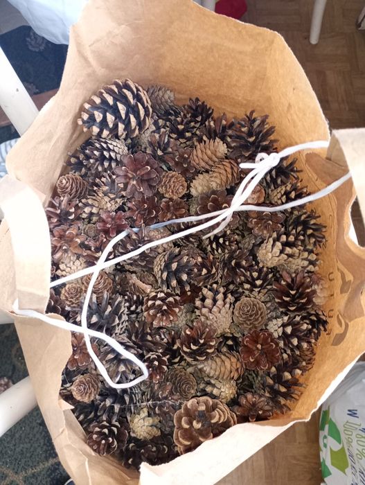Szyszki rożne  do ozdoby świąteczne