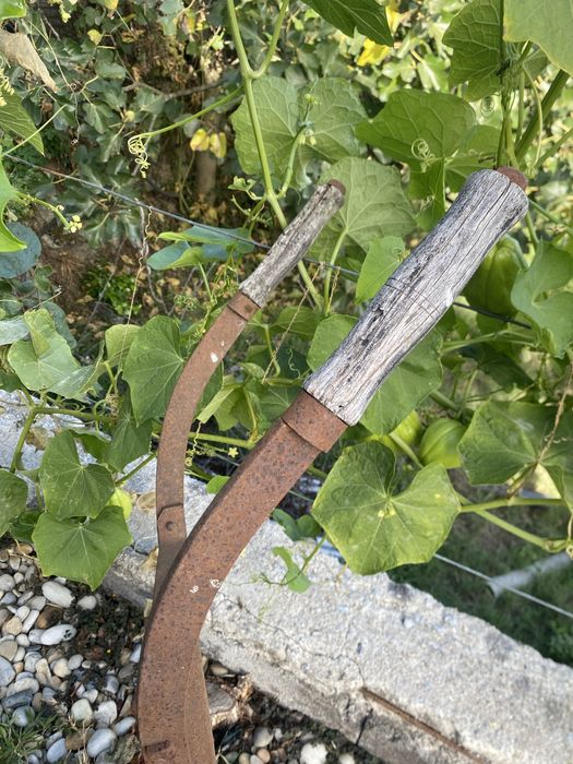 Arado antigo pata decorar jardim