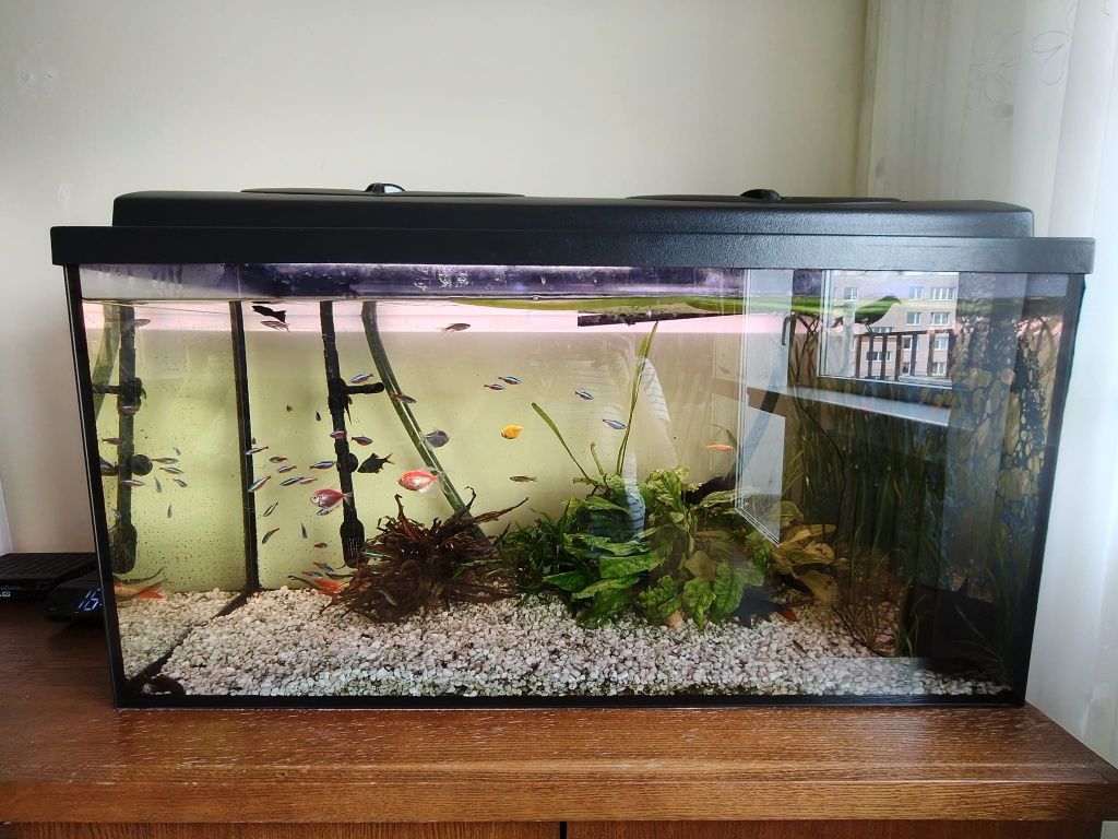 Akwarium 180l z szafką