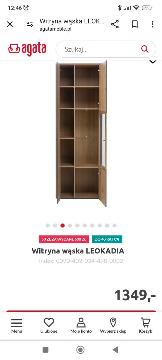 Witryna i półka Leokadia Agata Meble NOWE