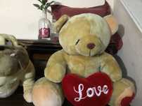 Peluche urso xxxxxx