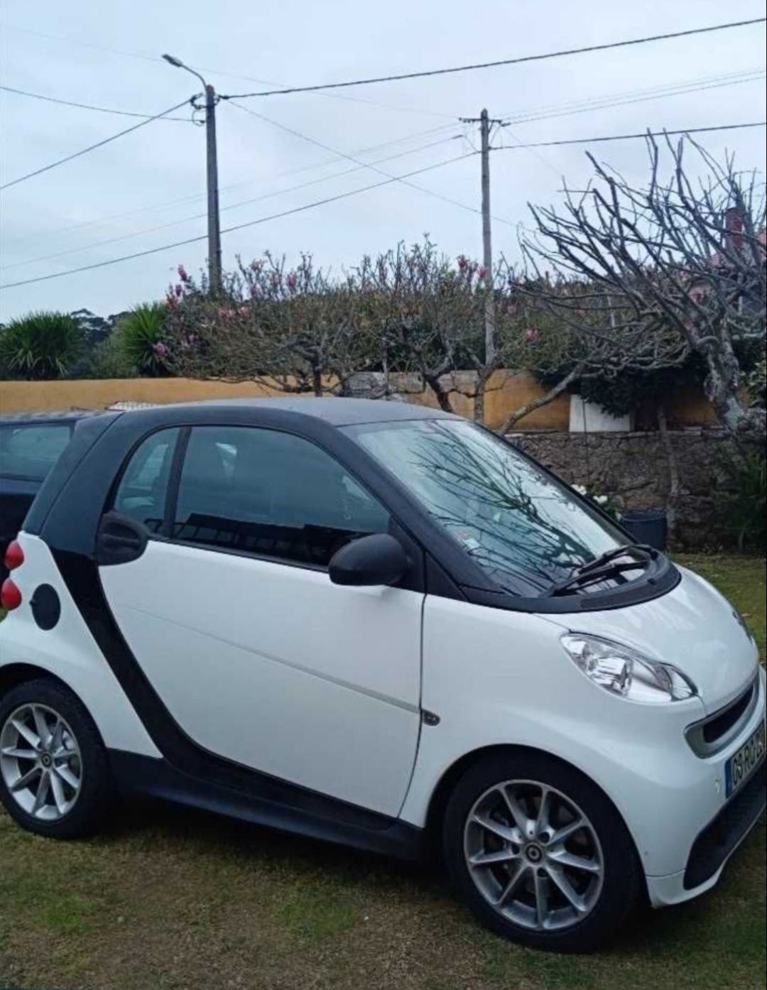 Smart fortwo 2012
