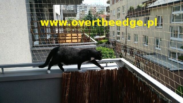 Siatka balkonowa dla kota-Siatka dla kota- ochrona dla kota !!!