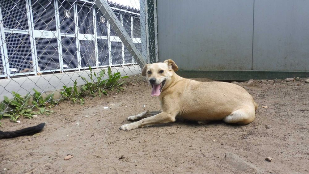 Rozbrykany Tymianek potrzebuje stabilnego domku na już