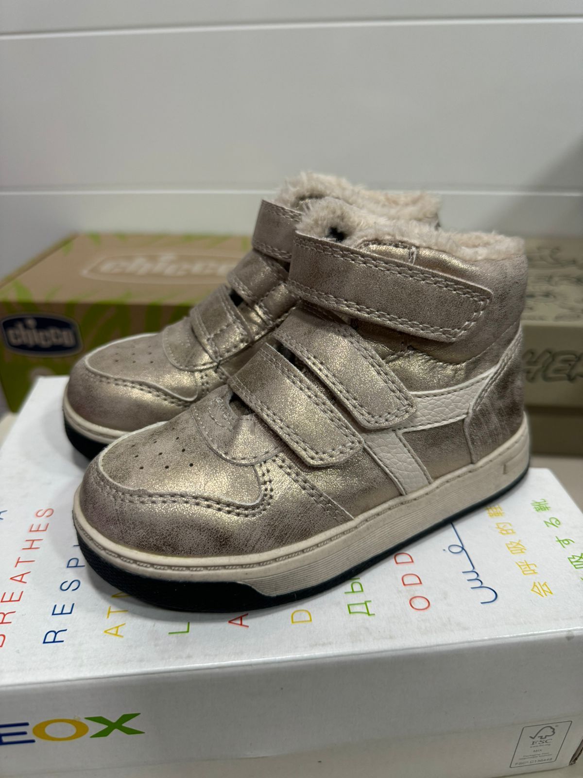 Sapatos Guimarães 24