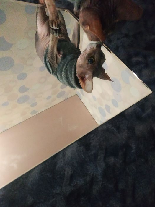 Дзеркало 740 х 540