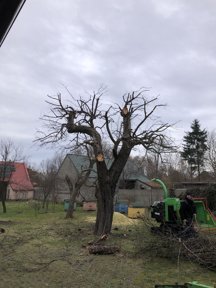 WYCINKA i pielęgnacja DRZEW rębak do gałęzi karczowanie działek