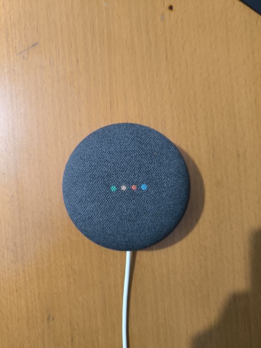 Google Nest Mini