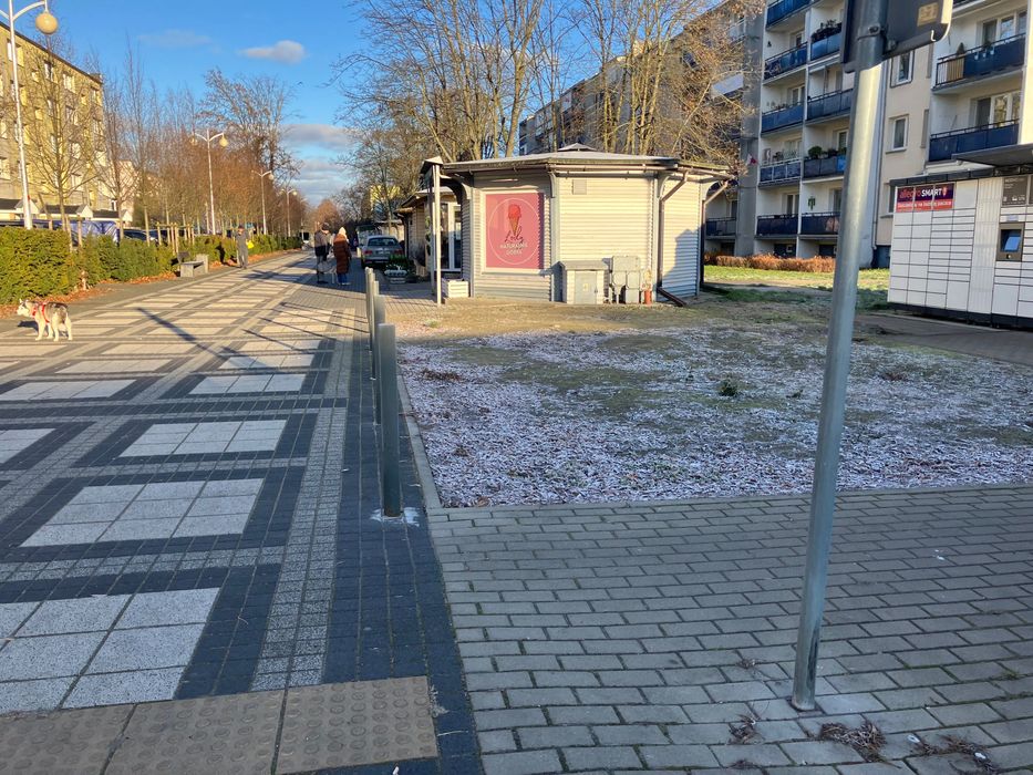 Wynajmę teren na sprzedaż choinek lub inne