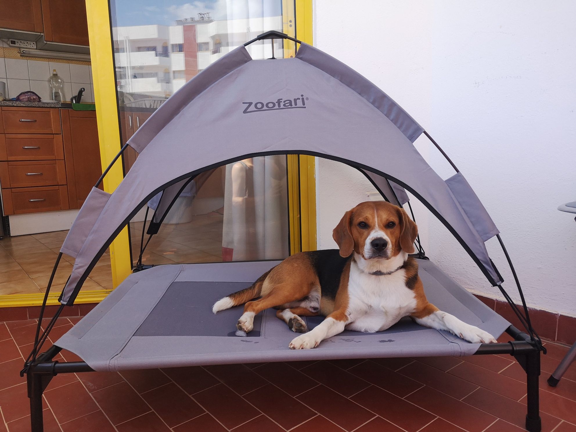 Cama com Toldo para animais (LIDL)