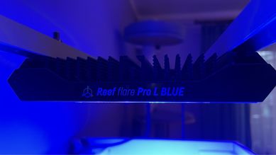 Reef Flare Pro Blue L