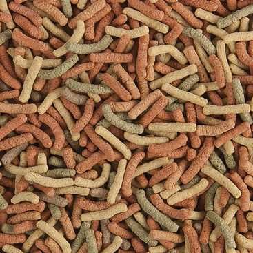 OUTLET Tropical Pond Sticks Mixed 5L - pokarm dla ryb w oczku wodnym